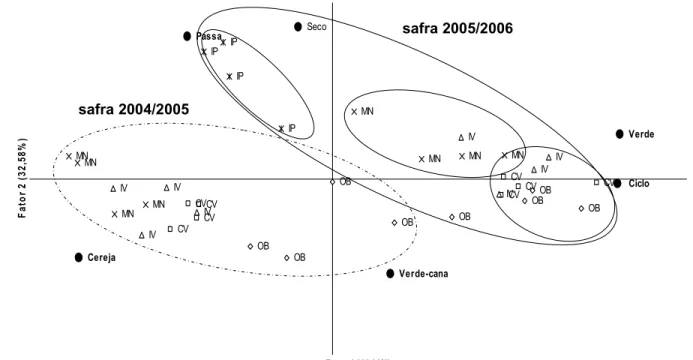 Figura 7 – Análise de componentes principais das variáveis fenológicas associadas às  cultivares Obatã (OB), Catuaí Vermelho (CV), Icatu Vermelho (IV), Mundo  Novo (MN) e Icatu Precoce (IP) nas safras 2004/05 e 2005/06