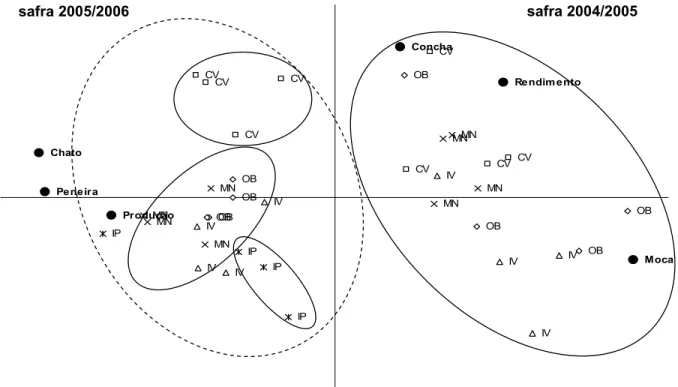 Figura 8 – Análise de componentes principais das variáveis agronômicas associadas às  cultivares Obatã (OB), Catuaí Vermelho (CV), Icatu Vermelho (IV), Mundo  Novo (MN) e Icatu Precoce (IP), nas safras 2004/05 e 2005/06