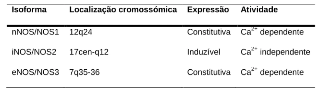 Tabela 1- Sintases do óxido nítrico (adaptado de Ghosh &amp; Erzurum 2011) 