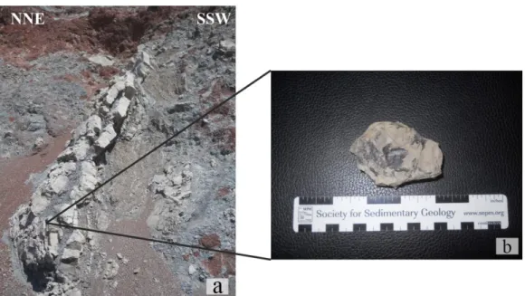 Figura 11: a – Localização, em afloramento, de onde foi recolhida a amostra StM-1; b – Fotografia da amostra de mão  StM-1