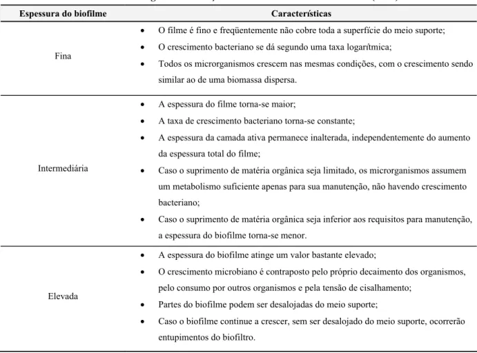 Tabela 3.3: Estágios da formação do biofilme. Fonte: Iwai e Kitao (1994) 