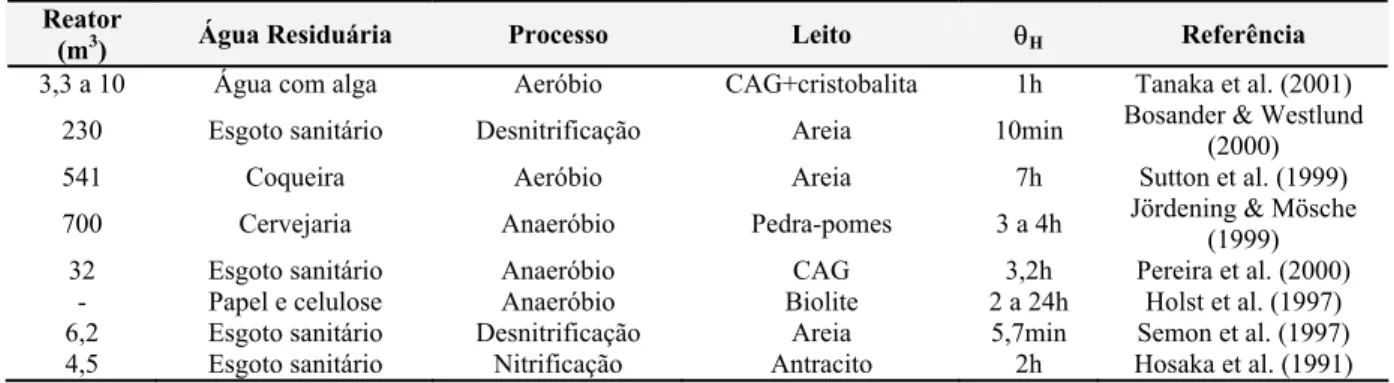 Tabela 3.11: Aplicações da tecnologia de reatores de leito expandido/fluidizado  Fonte: Mendonça (2004) 