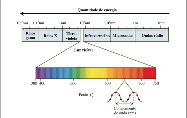 Figura  15:  Espetro  eletromagnético  (Adaptada  de  Nelson  &amp;  Cox,  2008;  Raven  et  al.,  2005; 