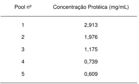 TABELA 2  - CONCENTRAÇÃO PROTÉICA DOS &#34;POOLS&#34; DE  IgG DE    COELHO ANTI-NCDV, SÃO PAULO, 1998