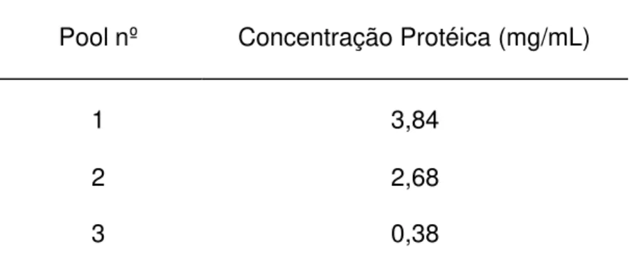 TABELA 3 -  CONCENTRAÇÃO PROTÉ ICA DOS &#34;POOLS&#34; DE IgG DE  CARNEIRO, SÃO PAULO, 1998