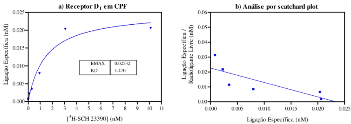 Figura 13: Experimento de saturação para receptores D 1  em CPF humano. (a) Curva de saturação da  ligação entre  3 H-SCH 23390 e receptores; (b) Regressão linear dos dados da curva de saturação usando a  análise de scatchard plot