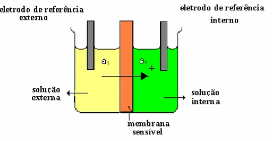 Figura 3 - Diagrama esquemático representando uma célula com eletrodo de membrana,  sendo: a 1  - atividade da solução externa e a 2  - atividade da solução interna