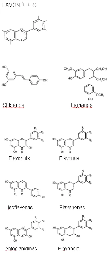 FIGURA 2: Estrutura dos flavonóides e de seus principais grupos (MANACH et  al.,2004).