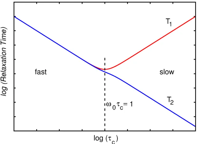 Figure 12: T 1  and T 2  relaxation time dependence on the correlation time according to the BPP theory
