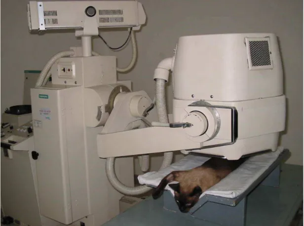 Figura 7 - Aparelho de cintilografia (gâma-camara), com felino doméstico sendo submetido  ao exame cintilográfico 