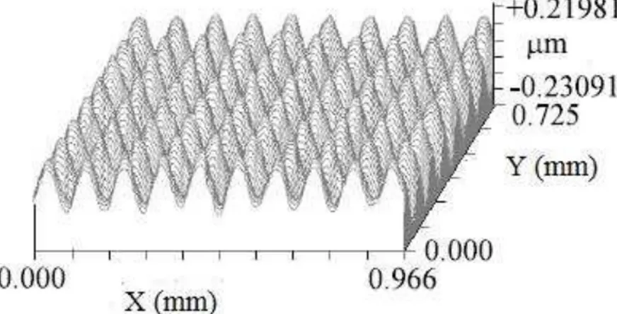 Figura 1.1  –  Imagem de interferência microscópica de um  molde fabricado através  de usinagem de precisão (GAO W., et