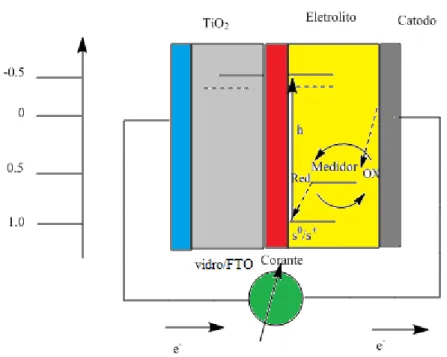 Figura  2.  Representação  esquemática  e  reações  envolvidas  no  processo  de  conversão fotoeletroquímica de uma DSSC