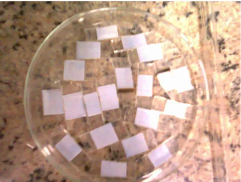 Figura 10. Corte efetuado no vidro/FTO após a sinterização da pasta de TiO 2 . 