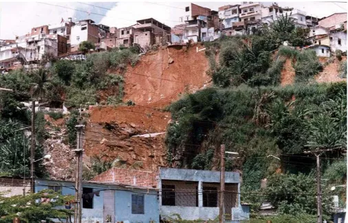 Figura 3.12 – Vista Frontal do Escorregamento do Alto do Bom Viver. (CODESAL, 1992). 