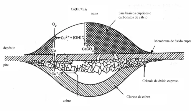 Figura 2 – Esquema do mecanismo da membrana bipolar descrito por Lucey (Campbell, 1971) 