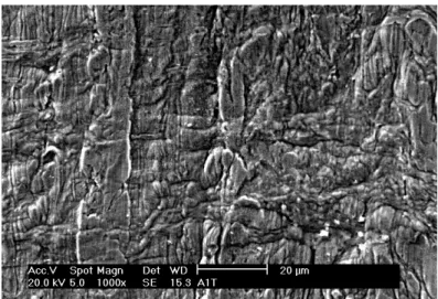 Figura 24 - Micrografia da superfície interna de tubo de cobre que não foi ensaiado. 