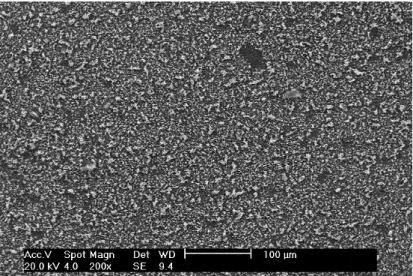 Figura 27- Micrografia da superfície interna do tubo de cobre polarizada em solução 0,06 molL -1  de NaCl