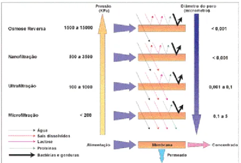 Figura 03  –  Características dos processos de separação por membranas.  