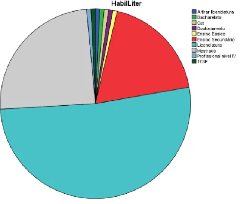 Figura 4 Habilitações literárias 