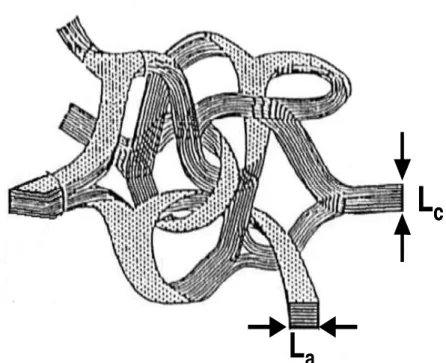 Figura 1.4: Modelo de Shiraishi para a estrutura do carbono vítreo [14]. 