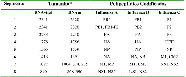 Tabela 1 - Organização Genômica dos Vírus Influenza. 