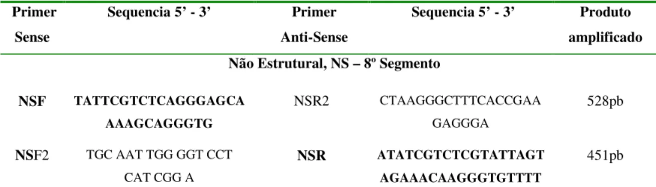 Figura 20 - Esquema dos primers utilizados nas PCRs para amplificação do gene da Proteína  Não  Estrutural