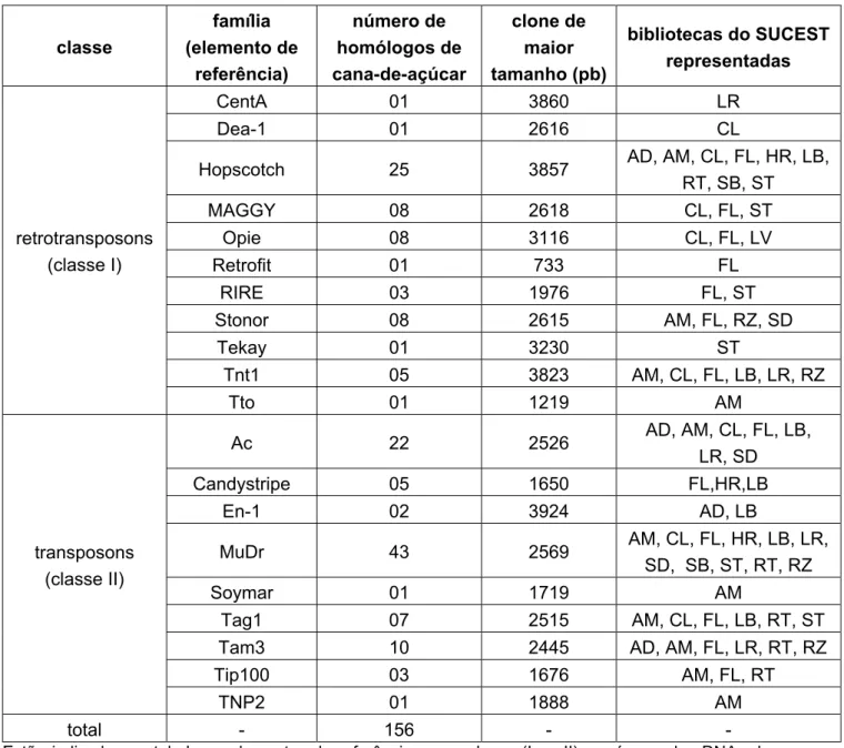 Tabela V – Identificação das famílias de elementos transponíveis expressas em cana-de-açúcar,  através da análise da identidade/similaridade das sequências dos clones de cDNA com elementos  descritos na literatura
