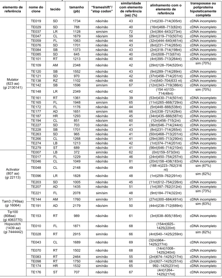 Tabela VI – Características dos cDNAs homólogos a TEs sequenciados selecionados a partir do  transcriptoma de cana-de-açúcar