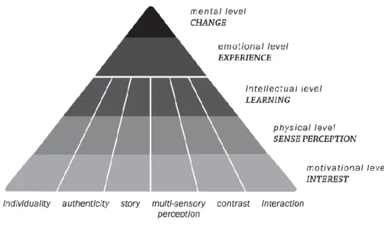 Figura 2.2 - Pirâmide de Experiência  