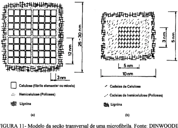 FIGURA 11- Modelo da seção transversal de uma microfibrila. Fonte: DINWOODIE (1981).