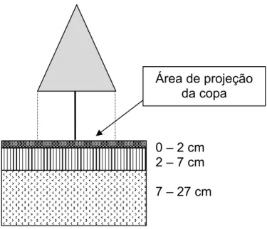 Figura 5 – Profundidades de amostragem do solo sob a projeção da copa da planta 