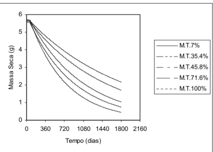 Figura 20 -  Massa seca de serapilheira da seringueira sob diferentes radiações no período de 5 anos 