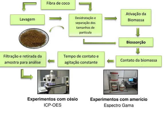 FIGURA 15  –  Esquema do processo de biossorção 