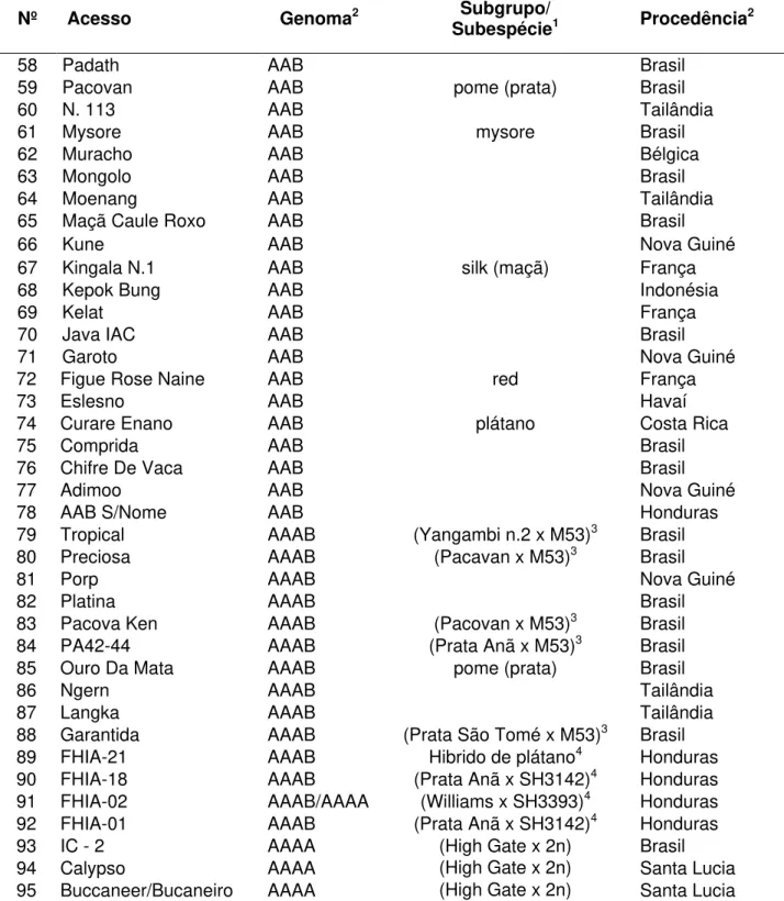 Tabela  1  -  Acessos  de  bananeira  do  banco  de  germoplasma  da  Embrapa  Mandioca  e  Fruticultura  Tropical  utilizados  na  caracterização  da  composição  genômica  e  ploidia  por  microssatélites,  estabelecida  previamente  por  caracterização 