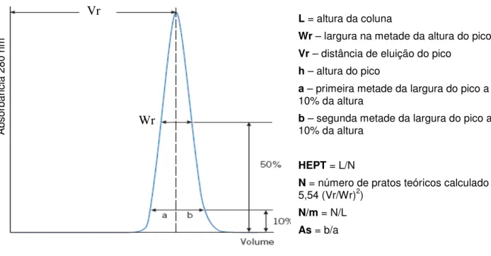 Figura  4.2  Exemplo  de  cromatograma  utilizado  na  determinação  da  eficiência  de  empacotamento de uma coluna de troca iônica