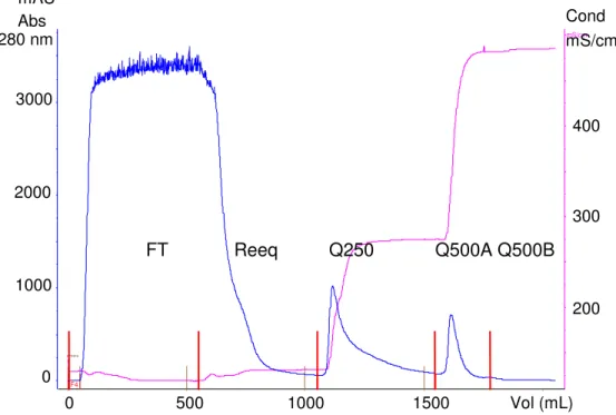 Figura 5.4 Cromatografia de plasma humano em resina de troca aniônica Q-Sepharose FF. 