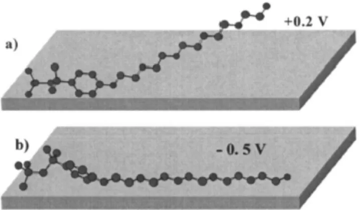 Figura 8: Representação das orientações da molécula de  Triton X100 sobre superfície de Au a (a) +0,23V e (b)  -0,5V vs