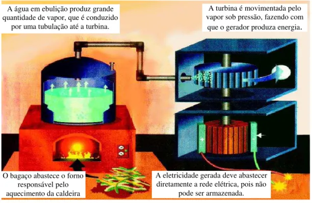 Figura 5: Processo de cogeração no setor sucroenergético a partir da queima do bagaço da cana