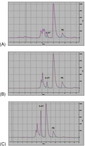 Figura 2 - Cromatogramas  de diferentes  pontos da  curva de calibração: 25 ng/mL (A), 100 ng/mL (B) e  600 ng/mL (C)
