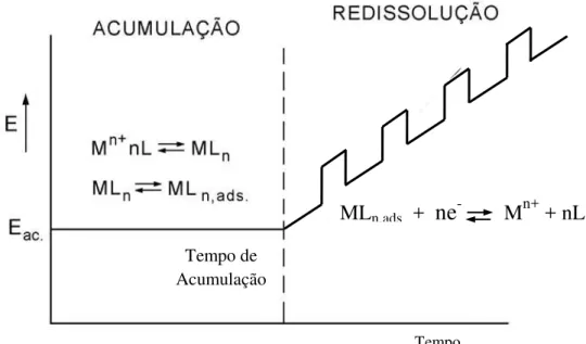 Figura 7: Acumulação e redissolução adsortiva de um metal M (L é um agente complexante  adequado para induzir a adsorção de M)