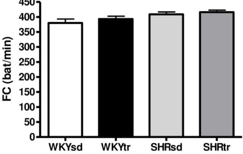 FIGURA  5  -  Frequência  cardíaca  dos  grupos  SHR  sedentário  (SHRsd,  n=7),  SHR  treinado  (SHRtr,  n=7),  WKY  sedentário  (WKYsd,  n=7)  e  WKY  treinado  (WKYtr,  n=6)  na  fase  pré-treinamento  físico