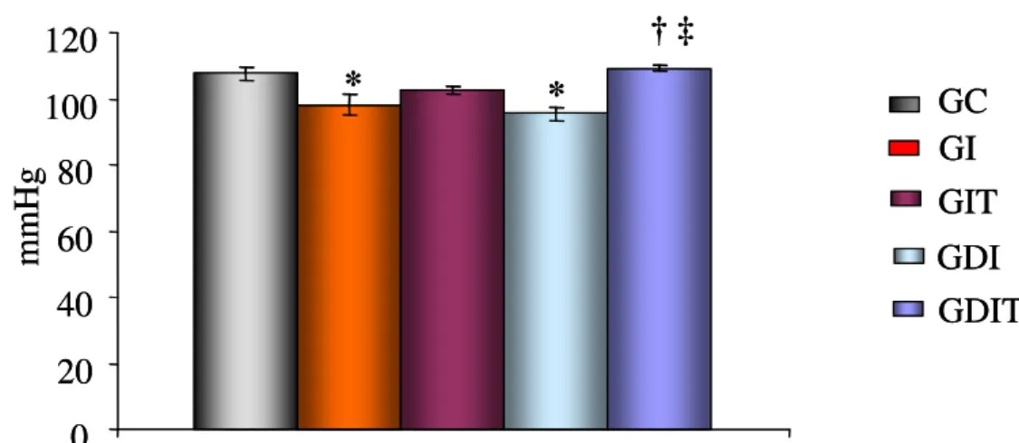 Figura 7- Pressão arterial média (mmHg)  nos animais dos grupos controle (GC),  infartado  (GI),  infartado  treinado  (GIT),  diabético  infartado  (GDI)  e  diabético  infartado treinado (GDIT)