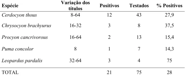 Tabela 2 - Lista das espécies de carnívoros selvagens testadas para a presença de anticorpos contra o  vírus da cinomose,  variação  dos títulos obtidos, número de indivíduos positivos, número  de indivíduos testados e porcentagem de animais positivos por 