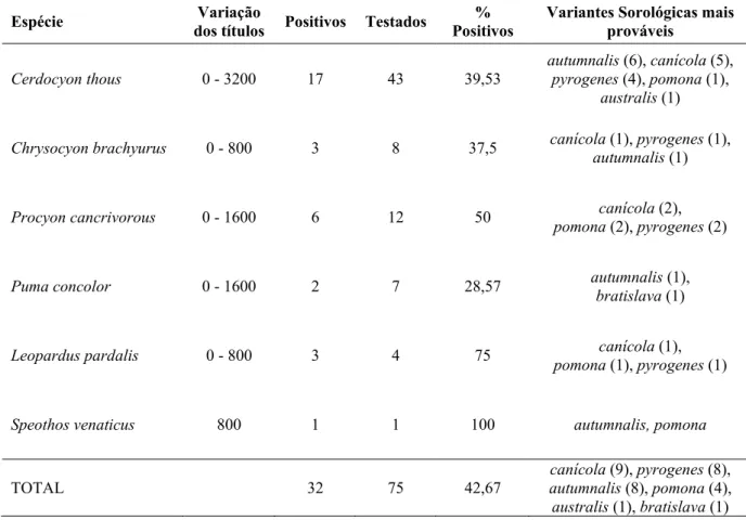 Tabela 5 - Lista das espécies de carnívoros selvagens testados para a presença de anticorpos anti- anti-Leptospira  spp.,  variação  dos títulos encontrados, número de indivíduos positivos,  número de indivíduos testados, porcentagem de animais positivos p