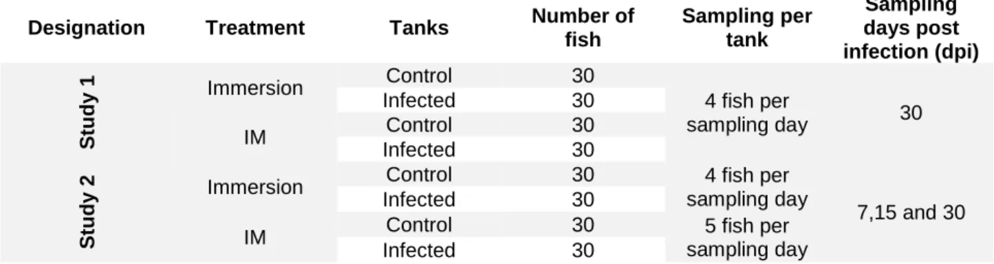 Table II: Experimental design for in vivo challenge. 