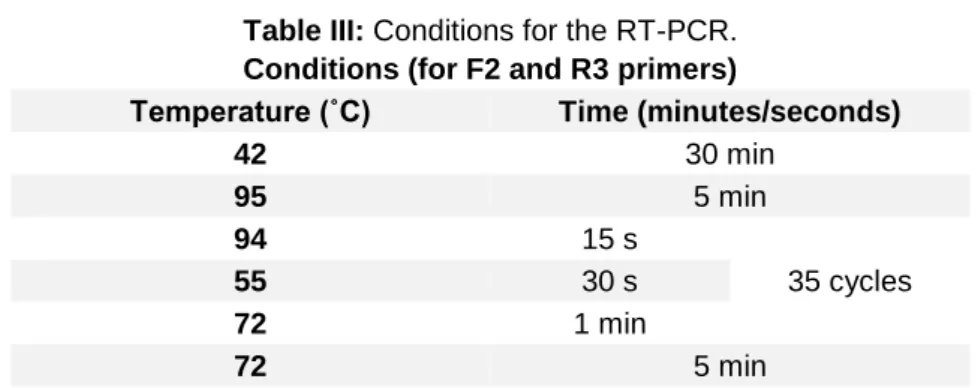 Table III: Conditions for the RT-PCR. 