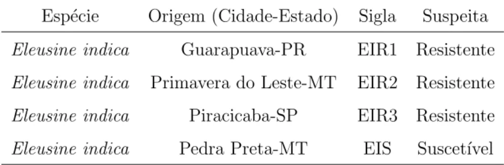 Tabela 5 - Esp´ecie, origem, identifica¸c˜ao (sigla) e suspeita de resistˆencia ao glypho- glypho-sate