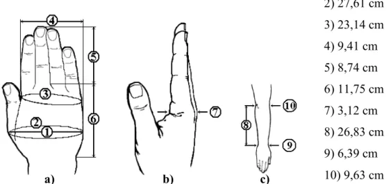 Figura 18 F Dimensões do membro superior direito: a) Vista frontal da mão; b) Vista lateral da mão e  c) Vista frontal do antebraço e da mão