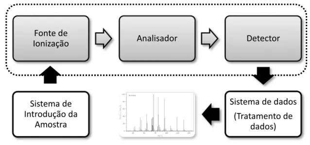 Figura 1.8  – Diagrama esquemático de um espectrómetro de massa comum. 