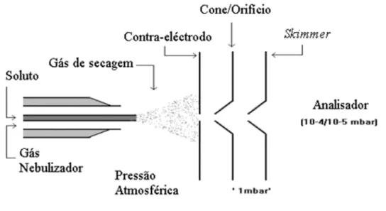 Figura 1.9 – Diagrama esquemático de uma fonte de ionização de um electrospray (ESI).